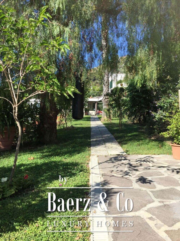 Foto 9 1000w