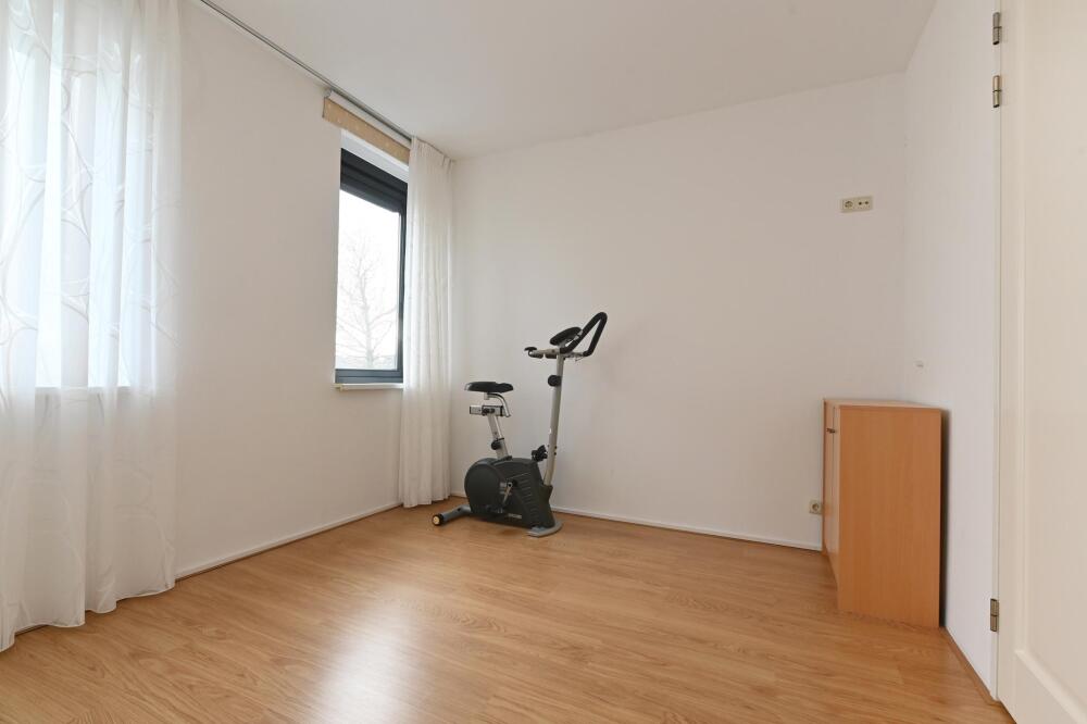 Foto 54 1000w