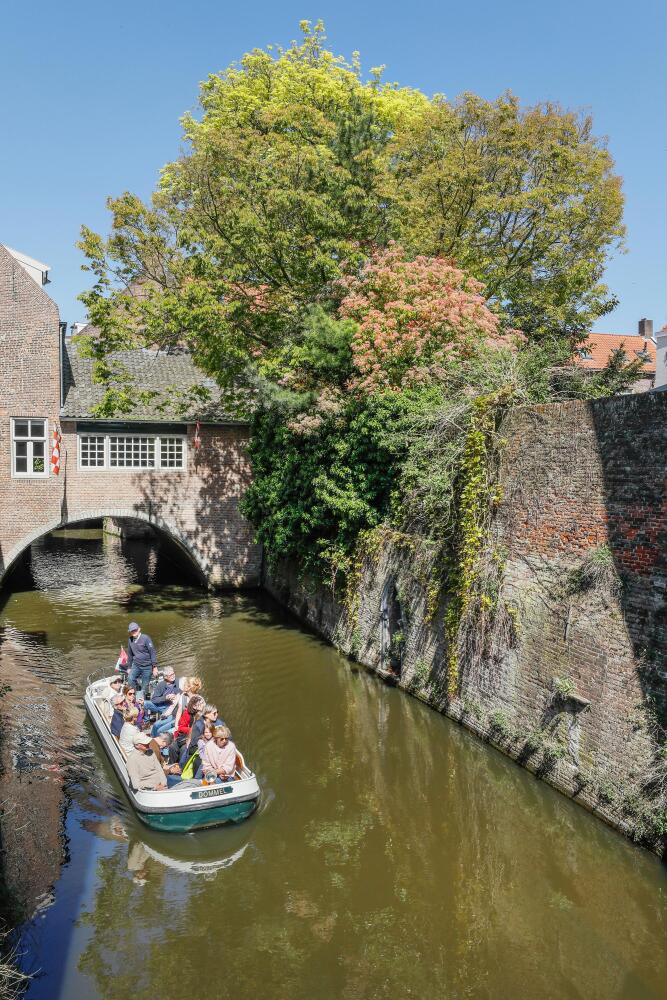 Foto 42 1000w