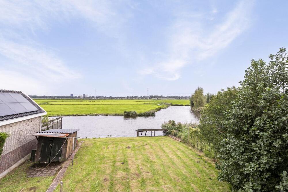 Foto 5 1000w