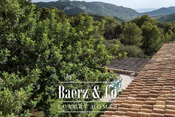 photo 19 Peace and tranquility in a beautiful rustic finca in the woods