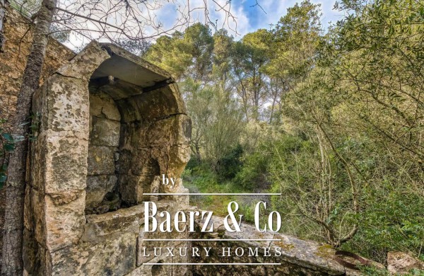 photo 17 BEAUTIFUL RURAL ESTATE IN ALAIOR