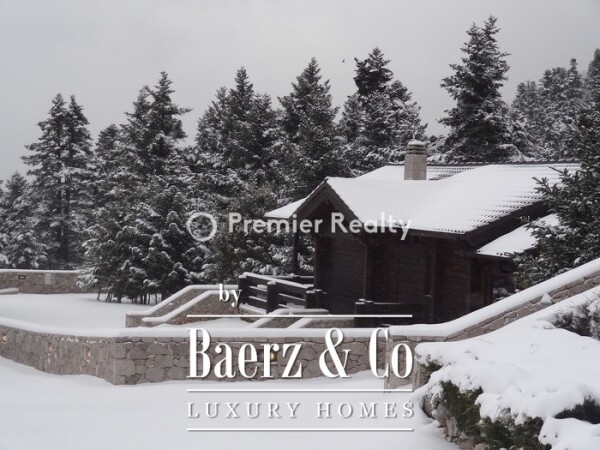 photo 17 950495 - Chalet | Eptalofos, Parnassos, 480 sq.m.