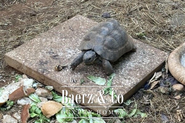 photo 34 Istria, Medulin, Banjole, high-quality detached house with 6 apartments, NKP 360 m2, near the sea