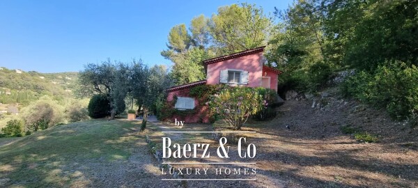 photo 15 Estate - over 6 ha of land with olive trees