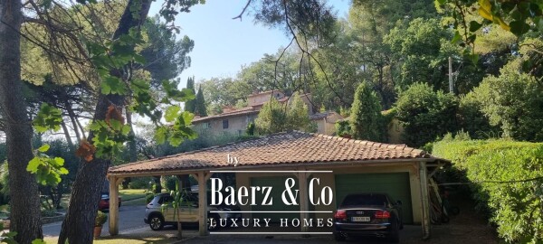 photo 17 Estate - over 6 ha of land with olive trees