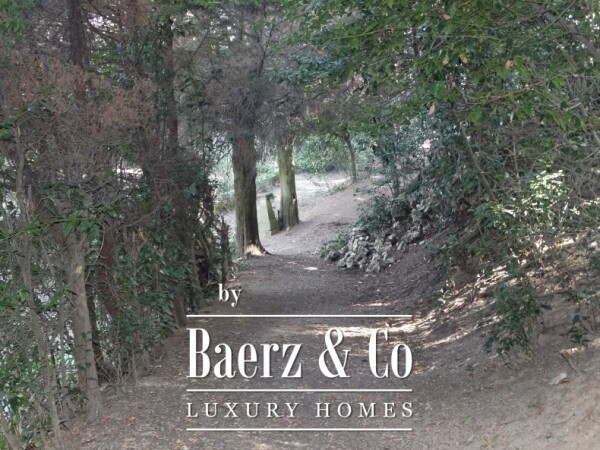 photo 18 Beautiful palace from the end of the eighteenth century