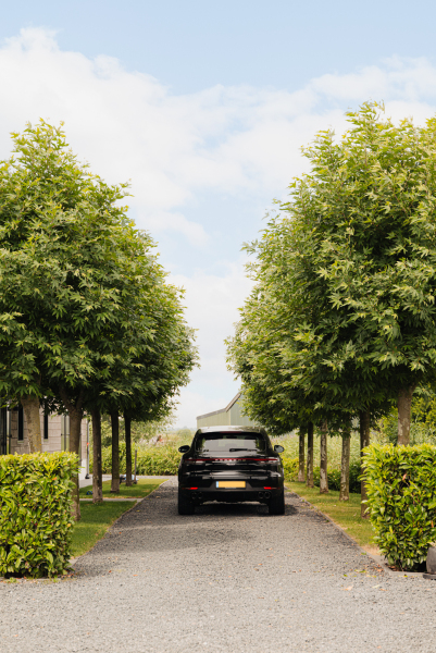 photo 21 Purmerland 95