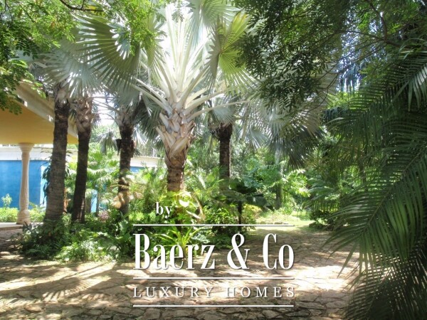 photo 8 A piece of art in the city.  A private enclave in premium neighborhood