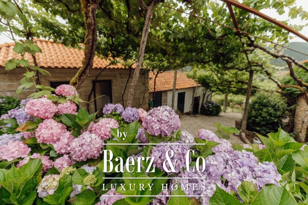 photo 22 Magnificent Manor House with winery