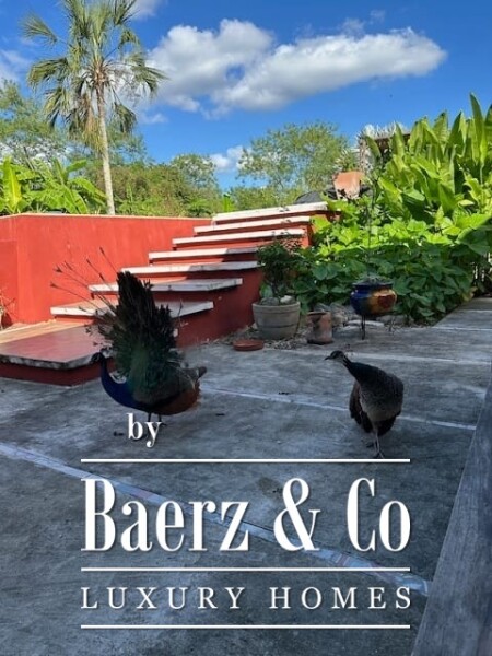 photo 18 Hacienda San Jose Pachul - Spa/retreat on the way to the beach