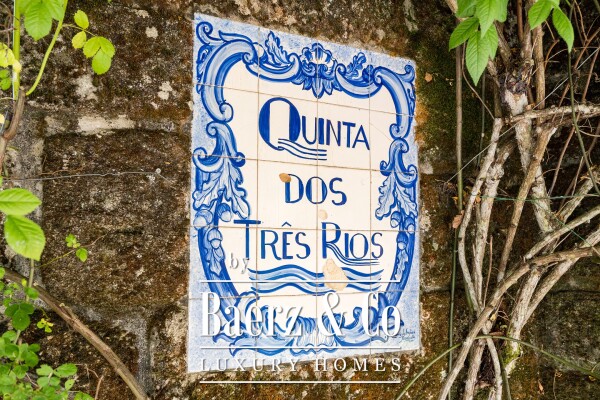 photo 2 Manor house in the Dão wine region