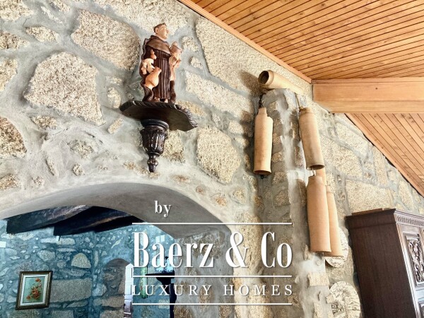 photo 9 Wonderful farm near the Vouga River