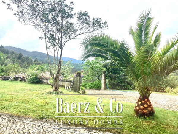 photo 30 Wonderful farm near the Vouga River