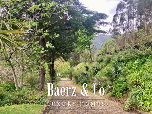 photo 32 Wonderful farm near the Vouga River