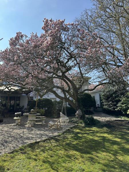 photo 72 Dorpsstraat 12