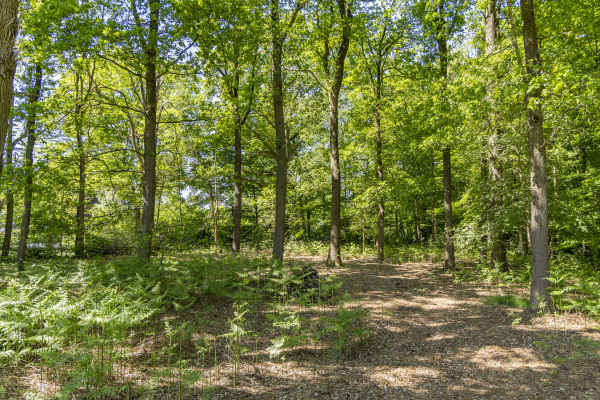 photo 23 Kleine Linderesweg 50