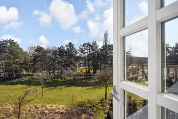 photo 26 Thérèse Schwartzestraat 113