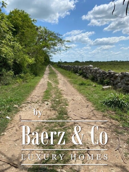 photo 2 Street 24 x 29 