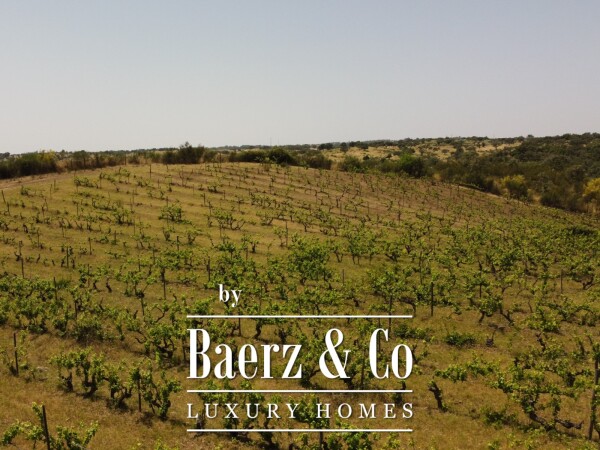 photo 29 Exceptional Historic Estate – Crato, Alentejo