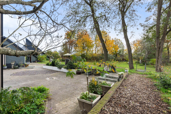 photo 89 Kletterstraat 27