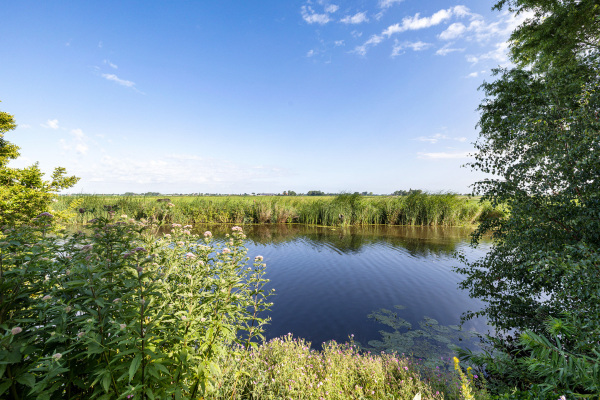 photo 41 Adam en Atze strjitte 8