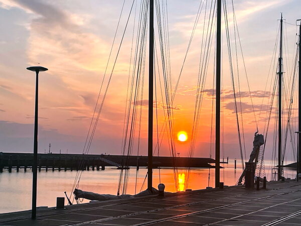 photo 66 Westmeep 61