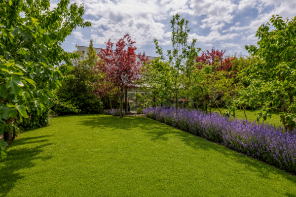photo 38 Kralingseweg 371
