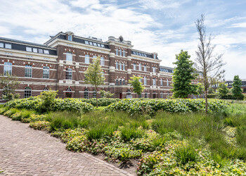 HAARLEM